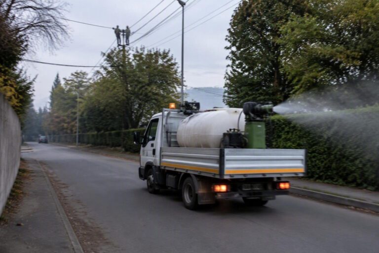 Dengue a San Donato Milanese: disinfestazioni urgenti per contenere il contagio
