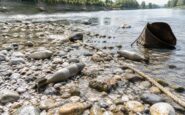 Oltre 300 munizioni ritrovate nel canale di Turbigo