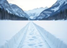 Atleti italiani in azione alla Coppa del Mondo di para sci di fondo 2024/25