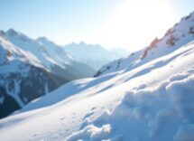 Atleti delle Paralimpiadi di Parigi 2024 in azione