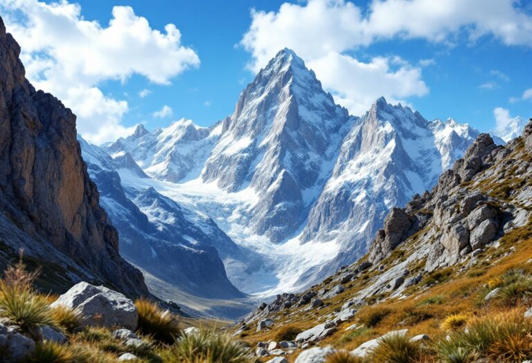 Panorama montano europeo in diverse stagioni