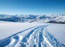 Atleti norvegesi in azione nella Coppa del Mondo di sci di fondo