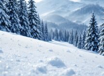 Sport invernali e centralizzazione dei diritti mediatici