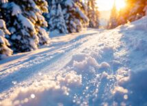 Incidente sulle piste di Bormio, sicurezza in discussione