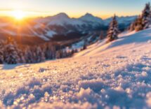 Donne nel salto con gli sci durante una competizione