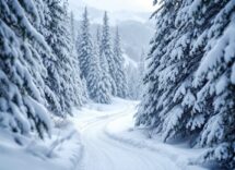 Frida Karlsson in azione durante la gara di skating