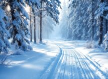 Atleti italiani in competizione nella 50 km di sci di fondo