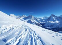 Federica Brignone in azione durante la gara di gigante ad Aare