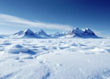 Sciatori in competizione su un percorso innevato