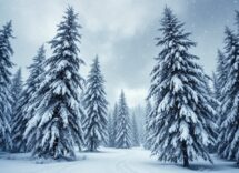 Lou Jeanmonnot trionfa nella mass start di Pokljuka sotto la neve