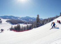 guida essenziale alle discipline delle olimpiadi invernali scopri tutto cio che devi sapere python 1759433075