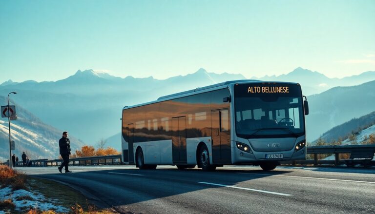 agevolazione per i residenti alto bellunese per i titoli di viaggio della linea 30 1773360622