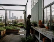 Giardini sopraelevati per città più quiete e vivibili