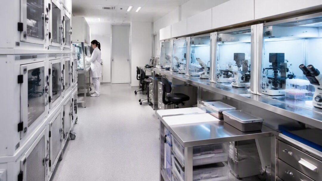 Scambio di embrioni al San Raffaele: la ricostruzione dell'accaduto