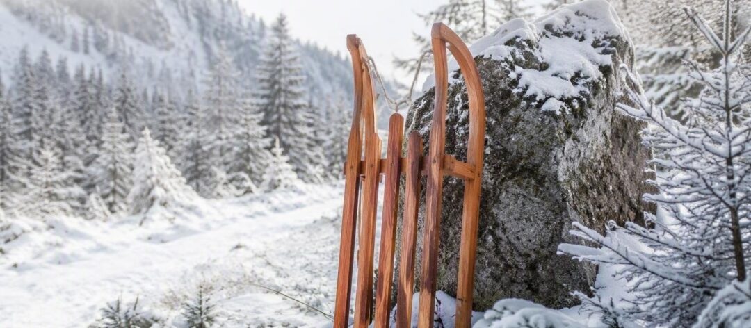 Slittino su pista naturale: consigli, postura, frenata