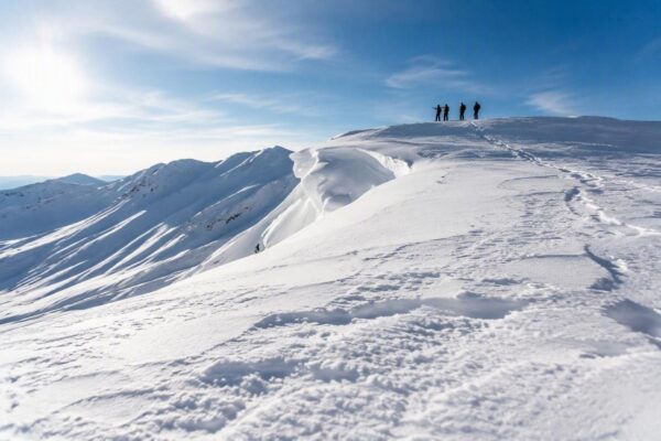 Snowboard freeride sicuro: come leggere il terreno e tracciare la tua linea