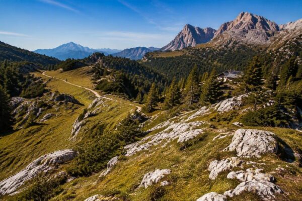 Vacanze alpine sostenibili tra Milano e Cortina: idee e consigli