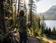 Zecche nei boschi alpini: protezione per famiglie