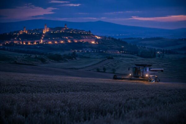 Resilienza tecnologica e agricola: le misure per garantire autonomia e sicurezza