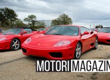 reddito di cittadinanza auto