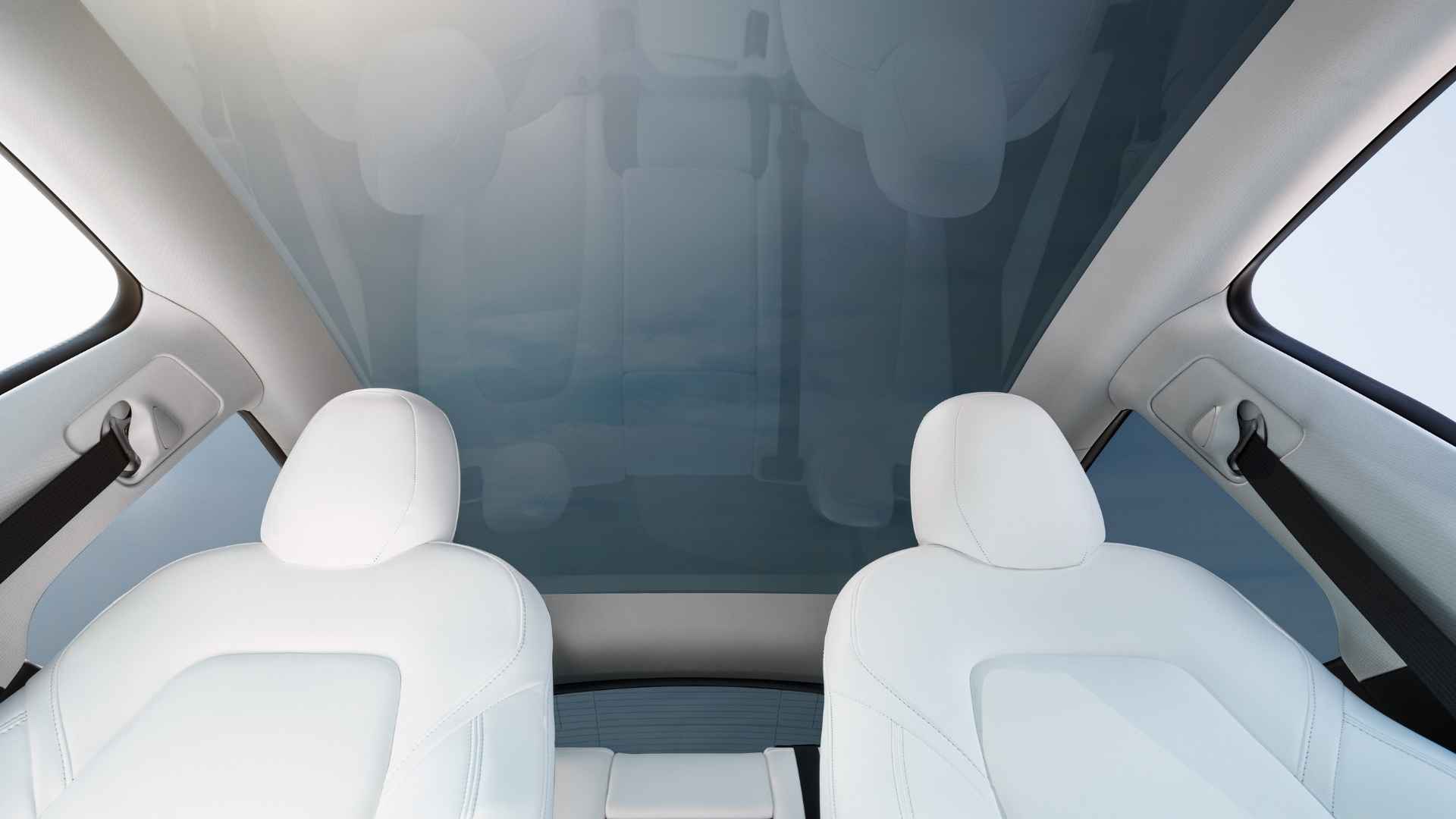 Tesla Model Y optional