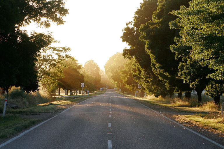 alpine road