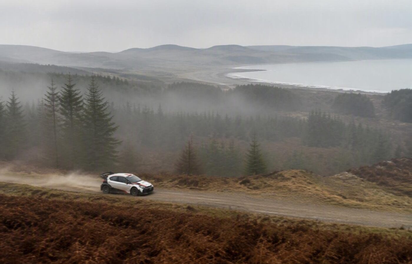 Suninen campione ERC 2026: la vittoria di Meeke in Galles