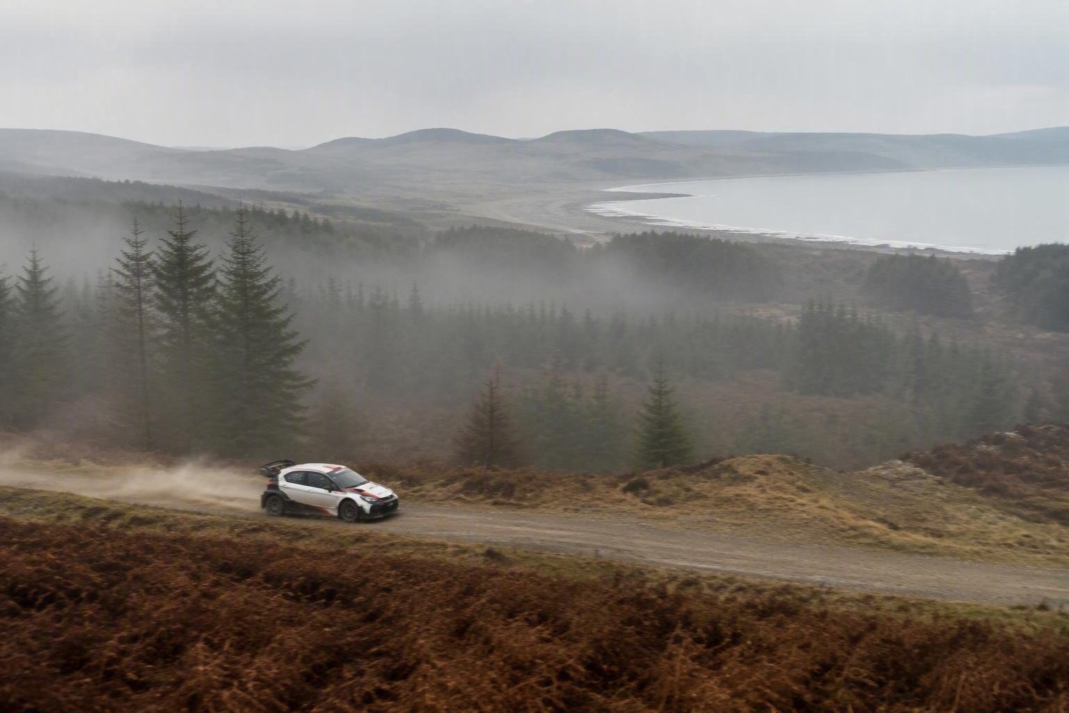 Suninen campione ERC 2026: la vittoria di Meeke in Galles