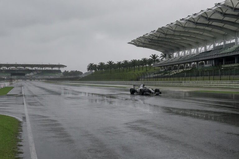 Software difettoso fa fermare le auto di Formula 1 a Sepang