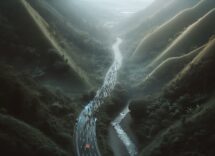 WRC drivers protesting against FIA language penalties