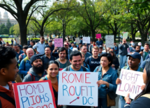 solidarity in the dc workforce a call to action python 1756350391