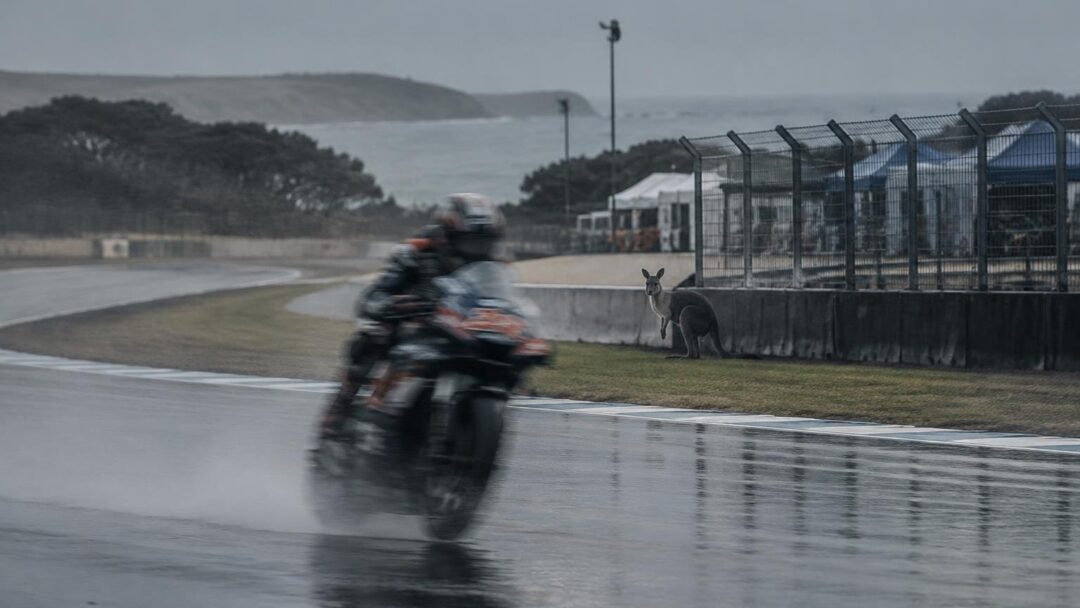 Rain, rider changes and wildlife interrupt Australian MotoGP weekend