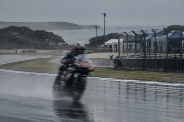 Rain, rider changes and wildlife interrupt Australian MotoGP weekend