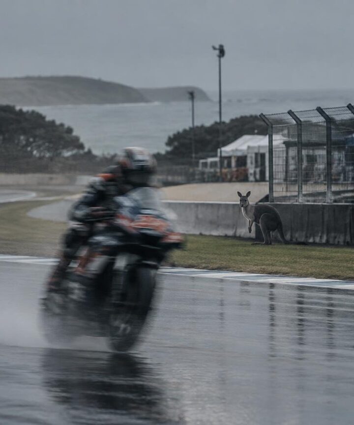 Rain, rider changes and wildlife interrupt Australian MotoGP weekend
