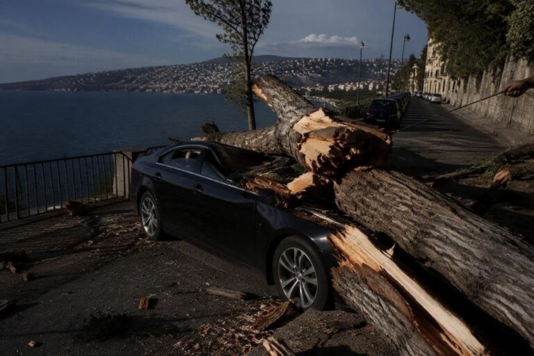 Nubifragio a Napoli: alberi caduti a Posillipo e danni alle auto