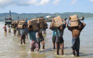 Rohingya