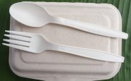 Bioplastics