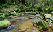 ecotourism