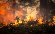 fires