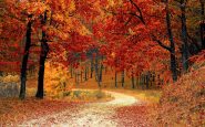 autumn vacation