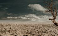 desertification