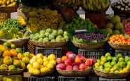 from farm to fork
