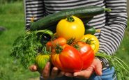 growing vegetables
