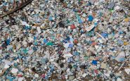 plastic island