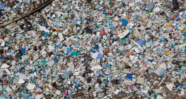 plastic island