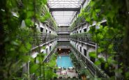 green accommodations