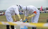 bubonic plague