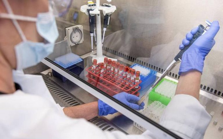 covid vaccine trials halted