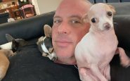 small dogs