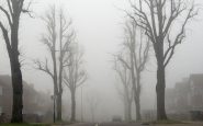 fog